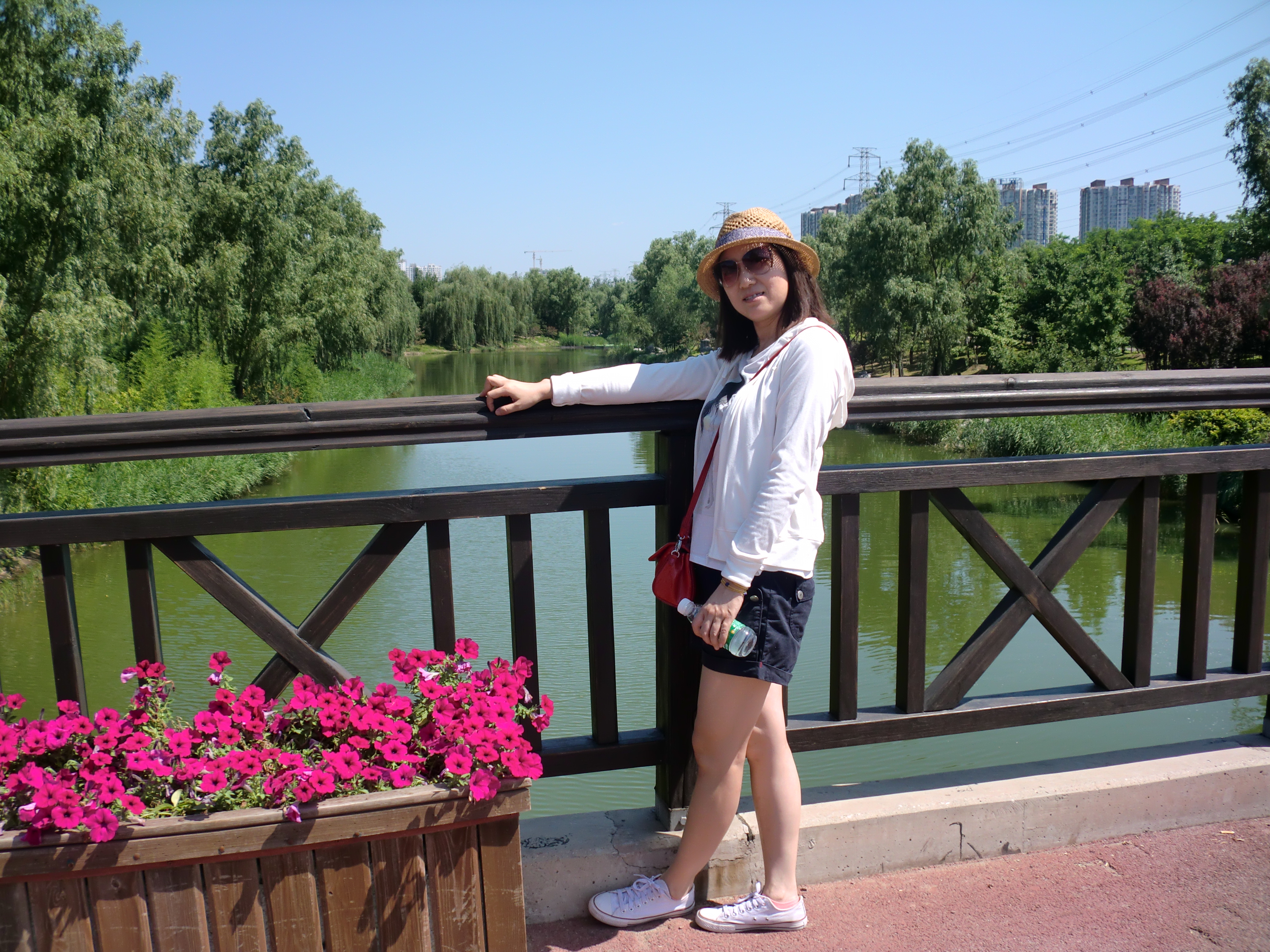 副教授：刘菁