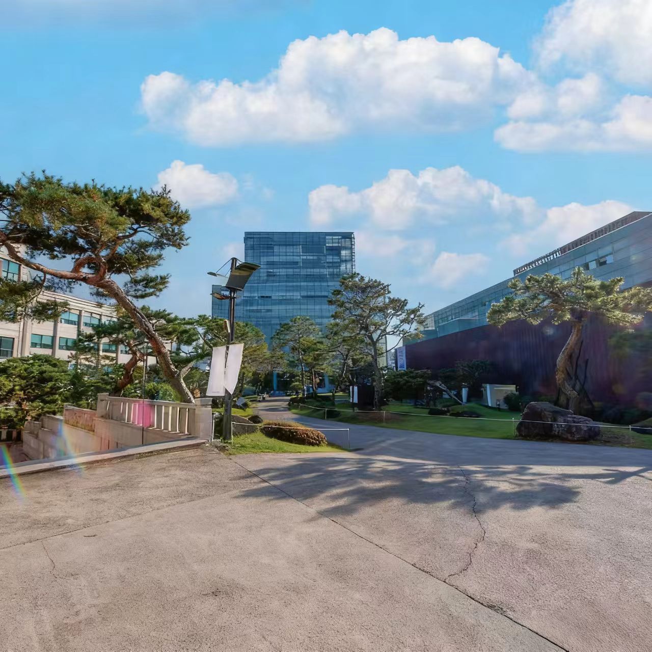 韩国大邱保健大学冬令营——赴韩解锁保健专业+文化沉浸双重之旅