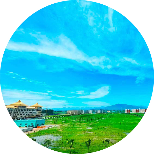 科学技术处 <br> Office of Science and Technology 