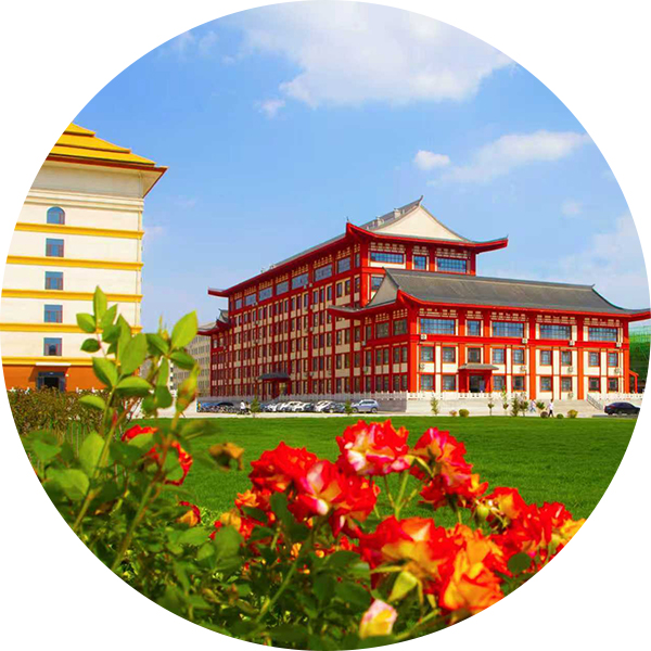 学生创业就业管理处 <br>  Student Entrepreneurship and Employment Management Office
